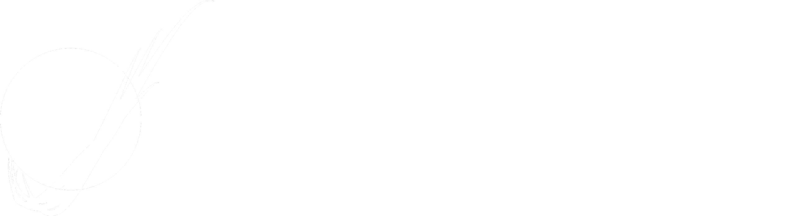 Mars Rover Design Team
